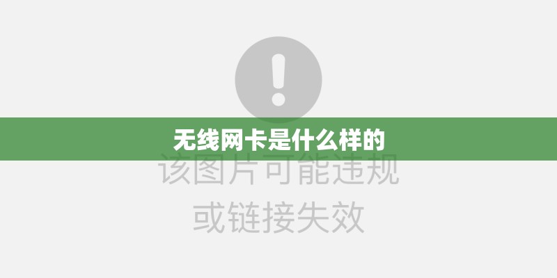 无线网卡是什么样的