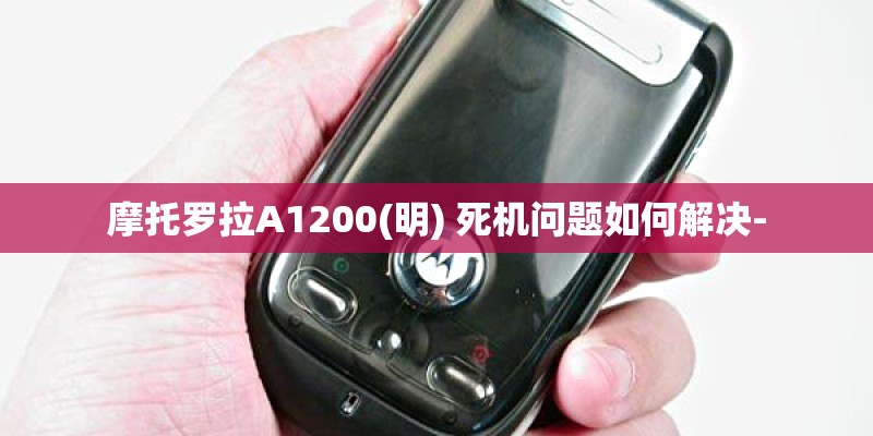 摩托罗拉A1200(明) 死机问题如何解决-