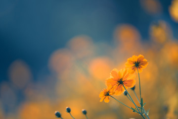 国产车逆袭发展之路