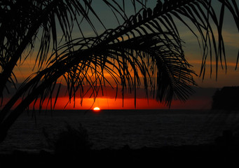 伦敦奥运中国30金得主分别是谁-