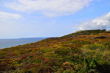 伦敦奥运中国30金得主分别是谁-