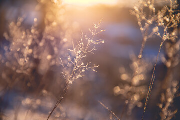 怎么挑选乒乓球球拍子