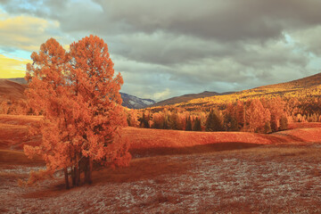 长安马自达是国产车吗-