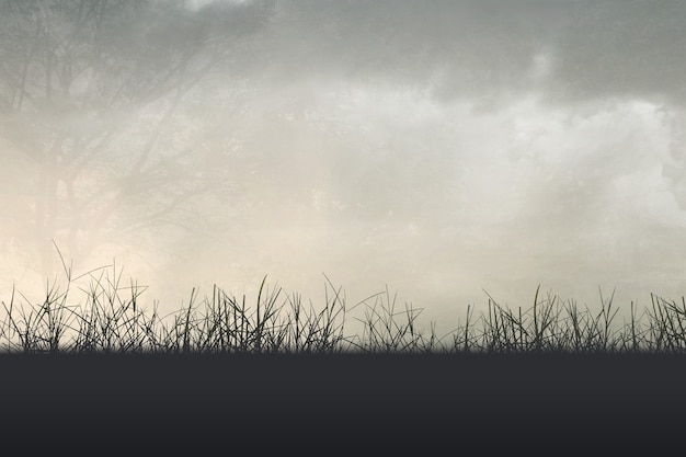 国产车比亚迪真的如你想象中的那么好吗？