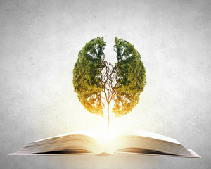 国产车比亚迪真的如你想象中的那么好吗？