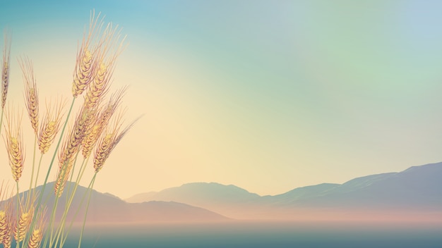 乒乓球世界冠军马龙现在怎么样了？