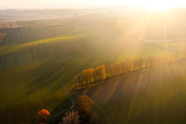买国产车真的没面子吗？