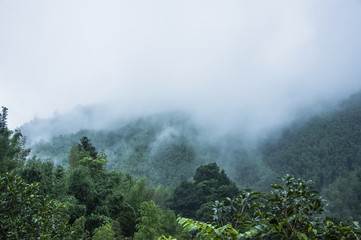 乒乓球十大恐怖发球